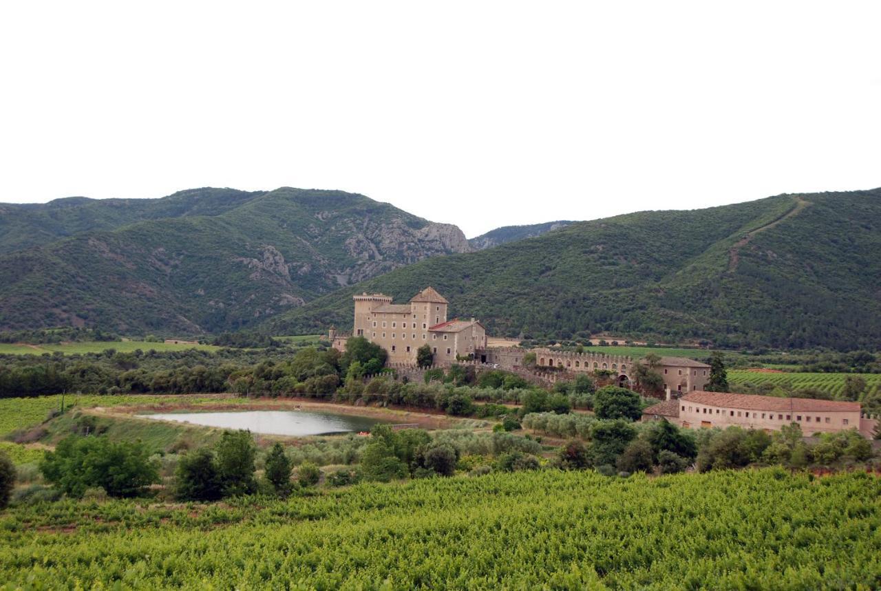 Castell De Riudabella Apartment Vimbodi I Poblet Exterior photo