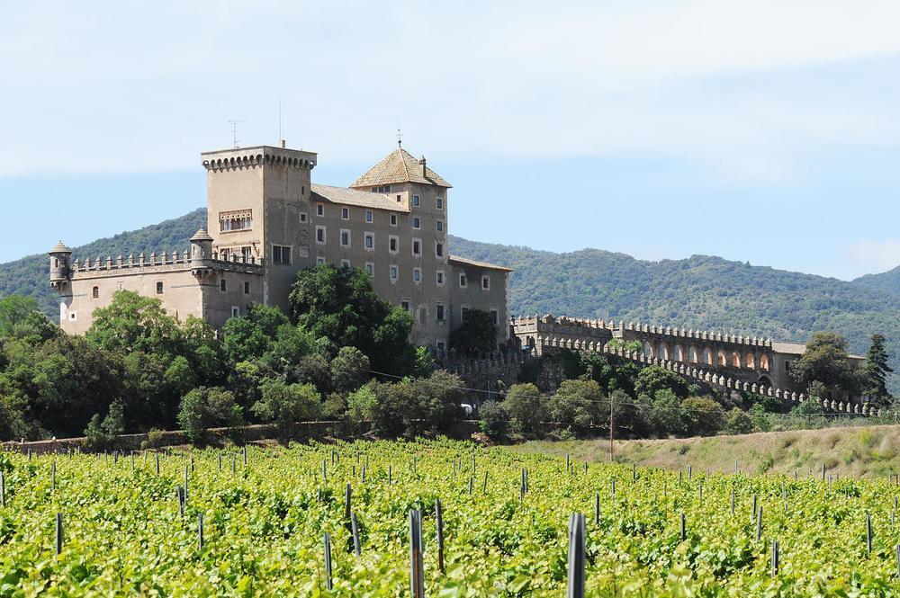 Castell De Riudabella Apartment Vimbodi I Poblet Exterior photo